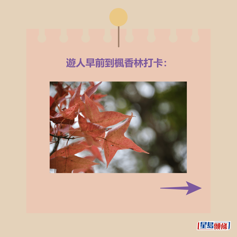 。資料圖片