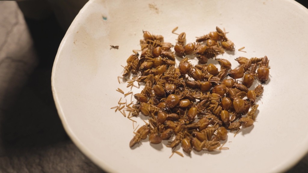 估不到Fine Dining都有蟲蟲可以試食。