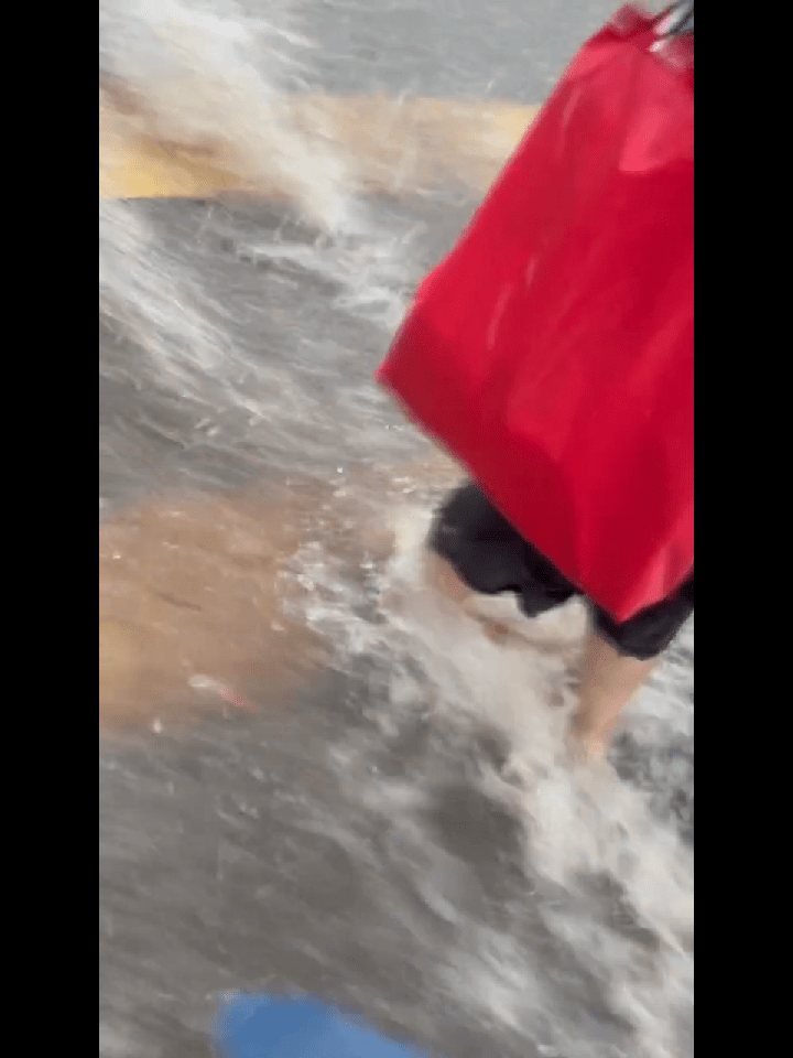 道路上水流湍急 道路上水流湍急