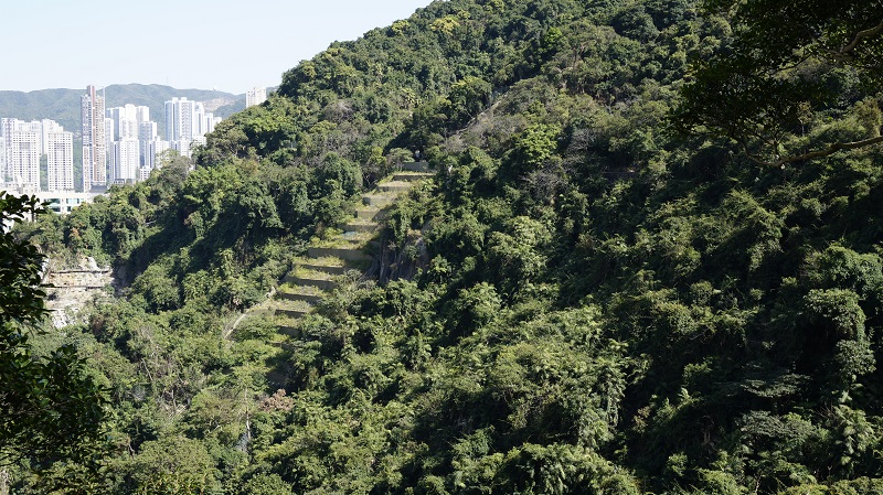 灣仔寶雲道鞏固斜坡後