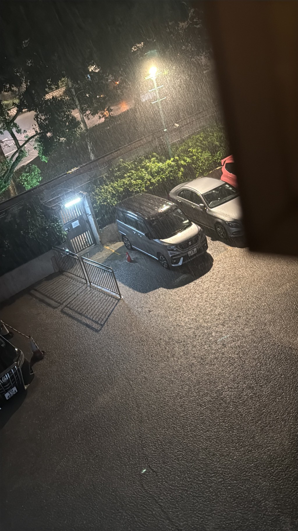 網上圖片 網上圖片