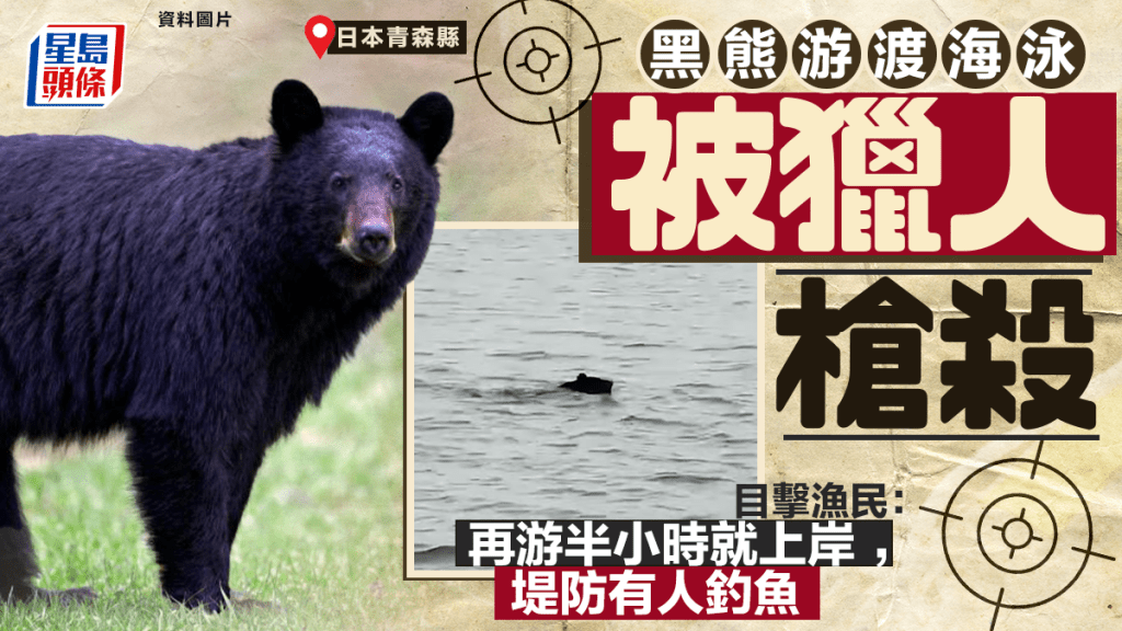日本熊出没｜青森县惊见黑熊游泳渡岸 猎人成功枪杀：堤防有人在钓鱼