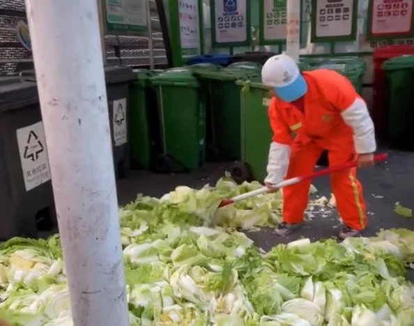 涉事清潔工將新鮮蔬菜打爛當廚餘，以達到回收指標。影片截圖
