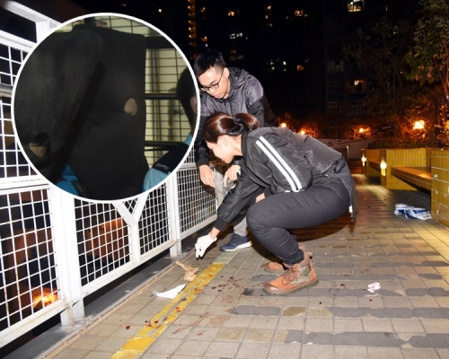 被告承認一項企圖導致他人身體受嚴重傷害。資料圖片