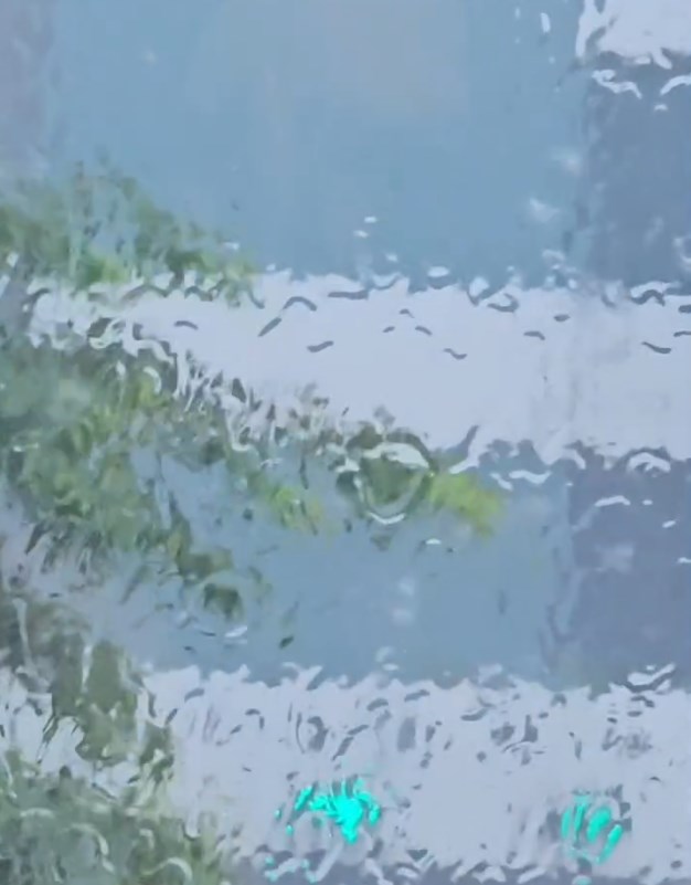 網民:紅雨即係黑雨,黑雨又點只係黑雨。資料來源:ronnywoo@Threads 網民:紅雨即係黑雨,黑雨又點只係黑雨。資料來源:ronnywoo@Threads