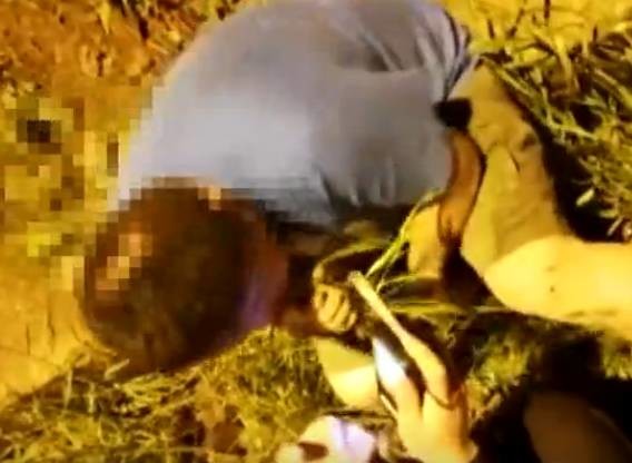 「別拔草啦,別吃啦」民警一邊勸着,但這名滿嘴都是草的司機,始終不理會。