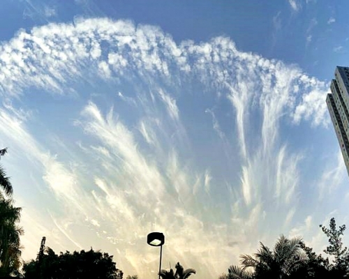 有市民在將軍澳拍攝到如孔雀開屏的卷雲。Anthony Tang提供