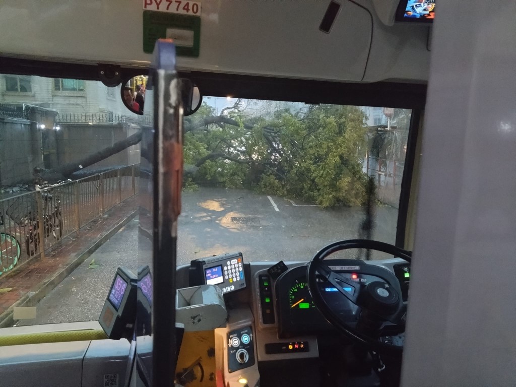 洪水桥田厦路亦有塌树。是日快快巴士即日相FB