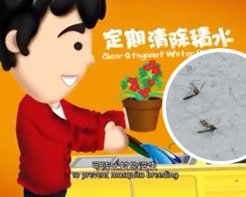 衛生防護中心在提醒市民要做足個人預防措施,並定期清除積水,防上滋生蚊蟲。