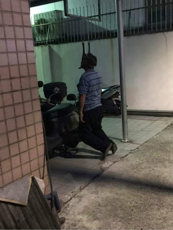 網圖