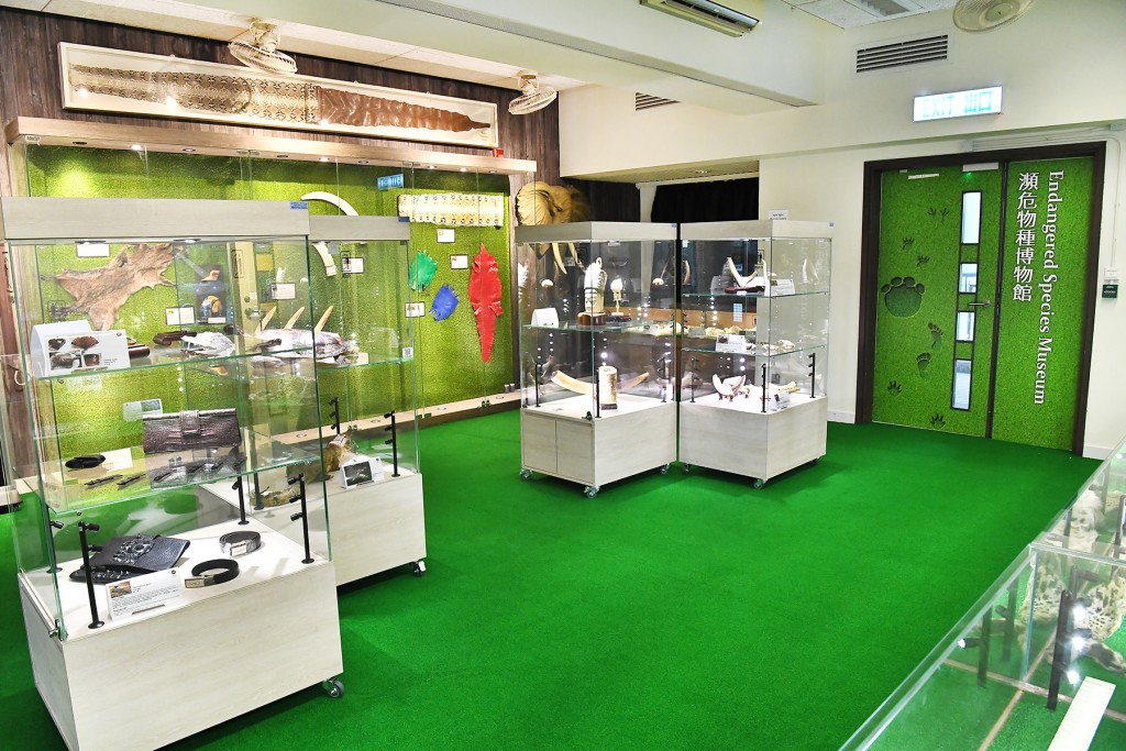 校內設瀕危物種博物館，學生可透過觀察標本獲取創作靈感。