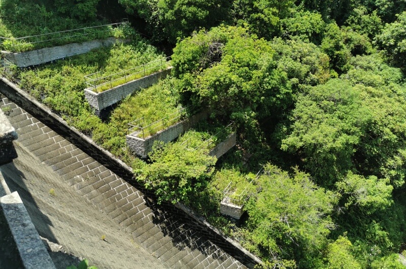 九龍副水塘鞏固斜坡後