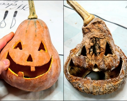 可爱南瓜变恐怖南瓜。网图