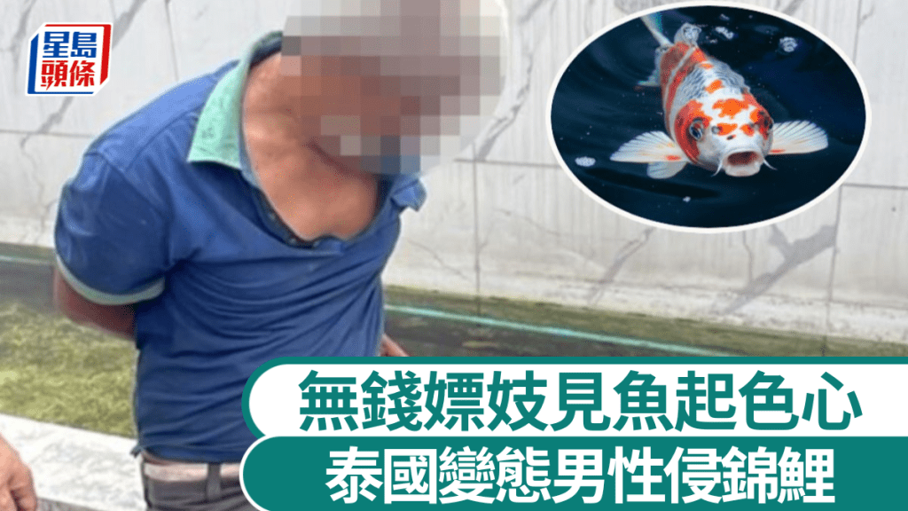圖為51歲的嫌疑犯蘇契柴。中時新聞網