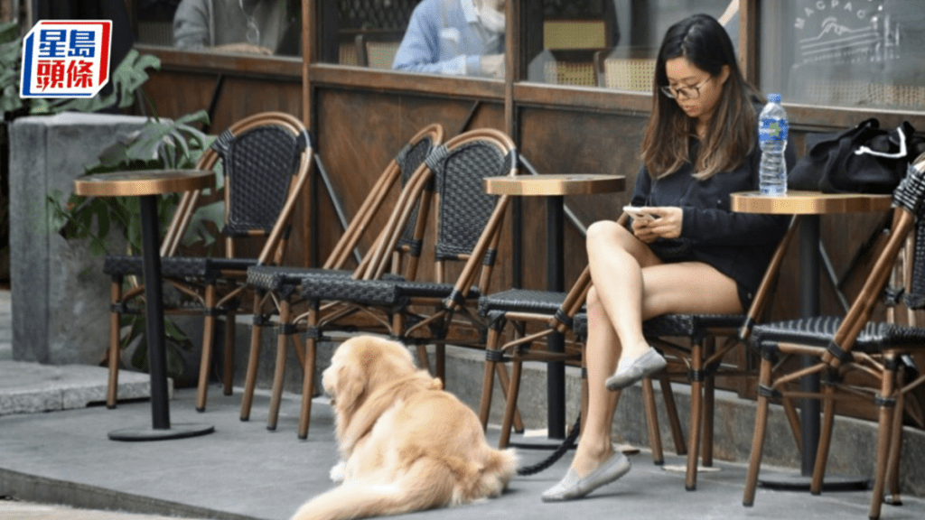 宠物经济｜餐厅禁狗令松绑 港宠物产业增长料达40% 业界吁完善发牌
