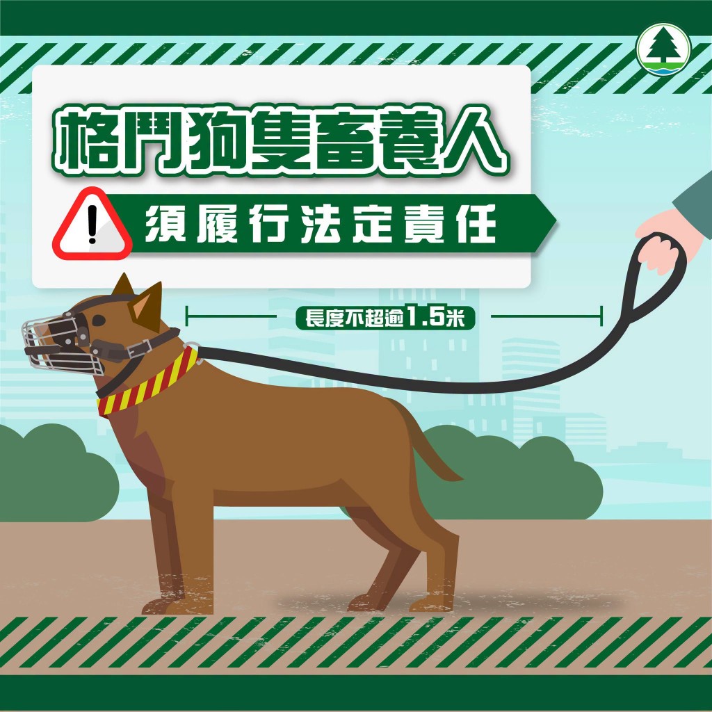 漁護署今日(8月28日)在社交平台發帖,證實赤柱被帶走狗隻為比特鬥牛㹴,為格鬥狗隻。 漁護署今日(8月28日)在社交平台發帖,證實赤柱被帶走狗隻為比特鬥牛㹴,為格鬥狗隻。