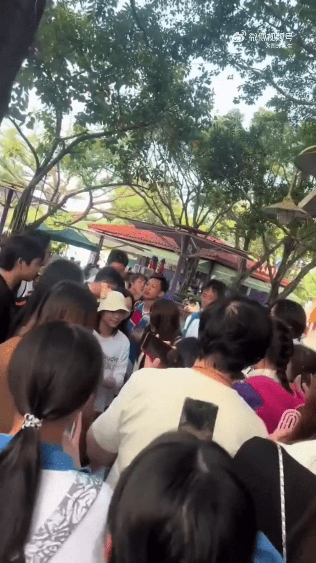 全紅嬋現身長隆被「野生圍捕」。微博@國球人生 全紅嬋現身長隆被「野生圍捕」。微博@國球人生