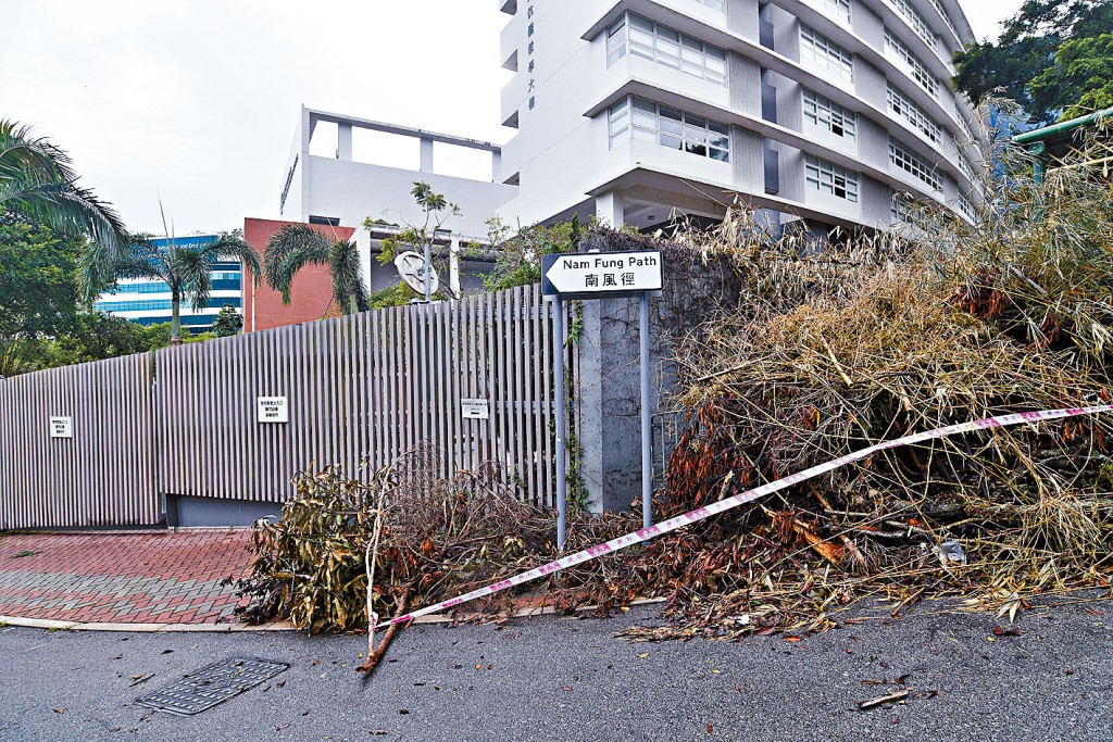 聖保羅男女中學附屬小學宣布明日停止面授課堂，旨在確保學生安全。