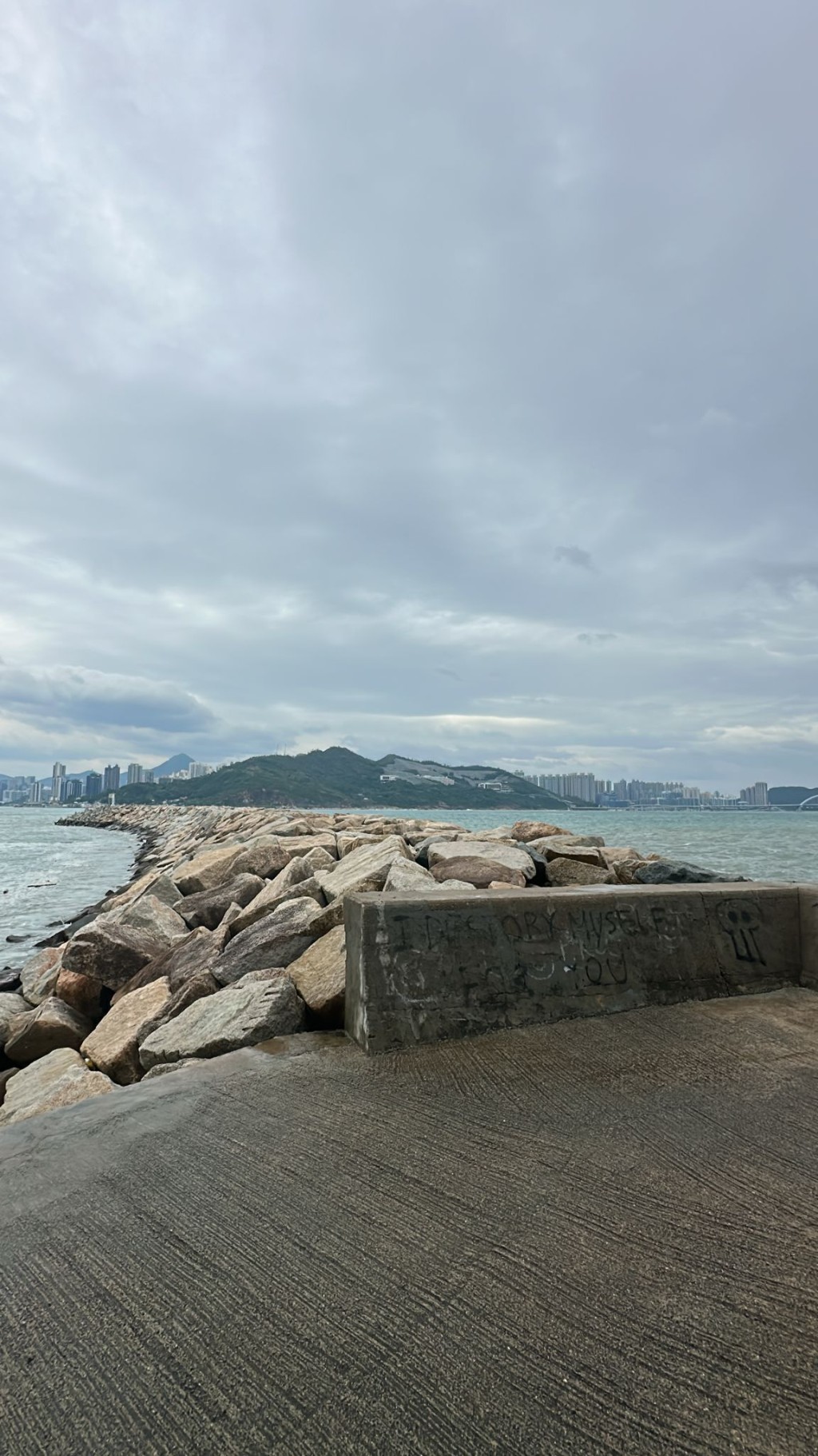 一家四口事發時站在防波堤觀浪。