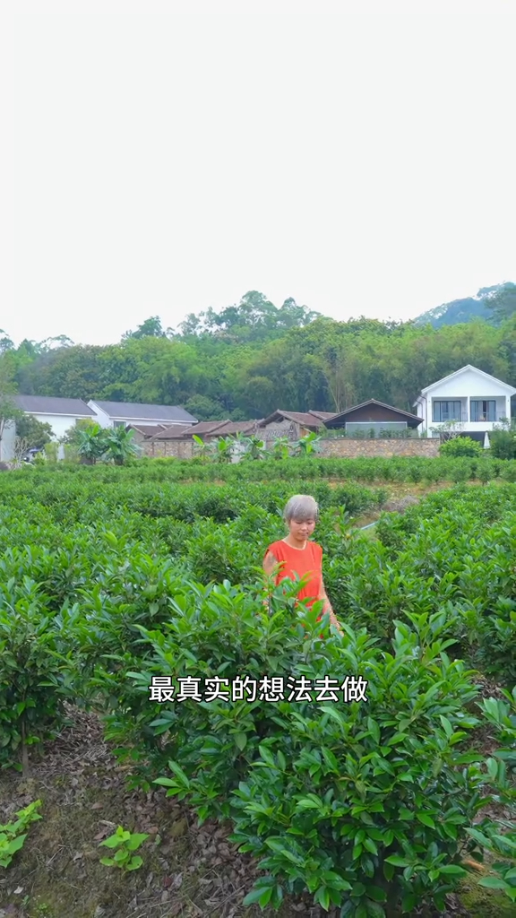 唐寧按照最真實的想法去做。 唐寧按照最真實的想法去做。