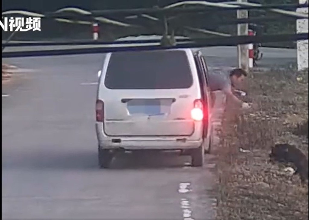 疑犯快速地將放養在戶外的狗隻拉上車。網圖
