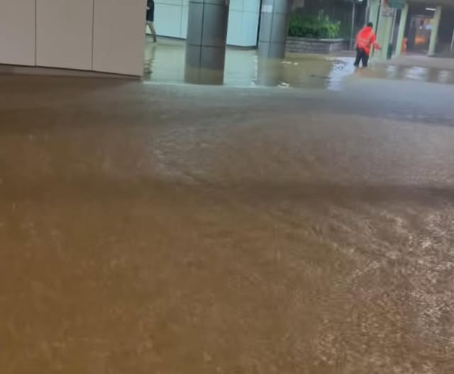 港鐵大埔墟站被洪水淪陷。網上圖片