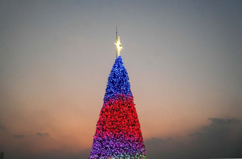 西九文化區藝術公園海濱草坪西面放署置了一棵高逾20米的「巨型聖誕樹」。資料圖片