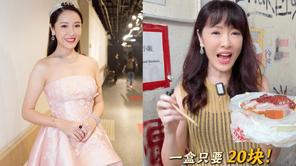 向海岚连环出片疑极力洗底  企后巷食20元烧味饭生活贴地  曾教内地客0元游港惹公关灾难