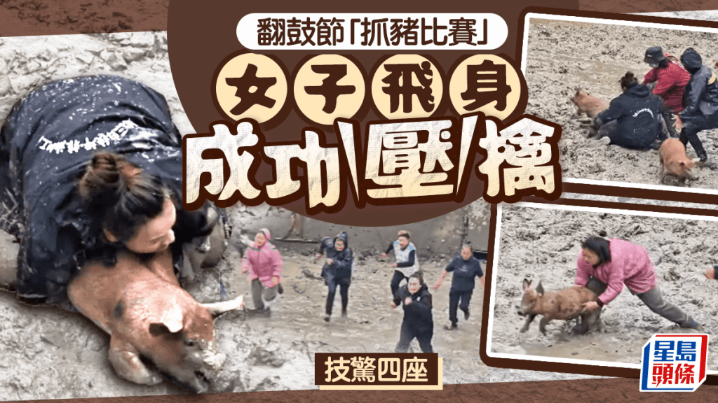 貴州一村慶豐收辦「抓豬比賽」 女子飛身壓擒震撼網友｜有片