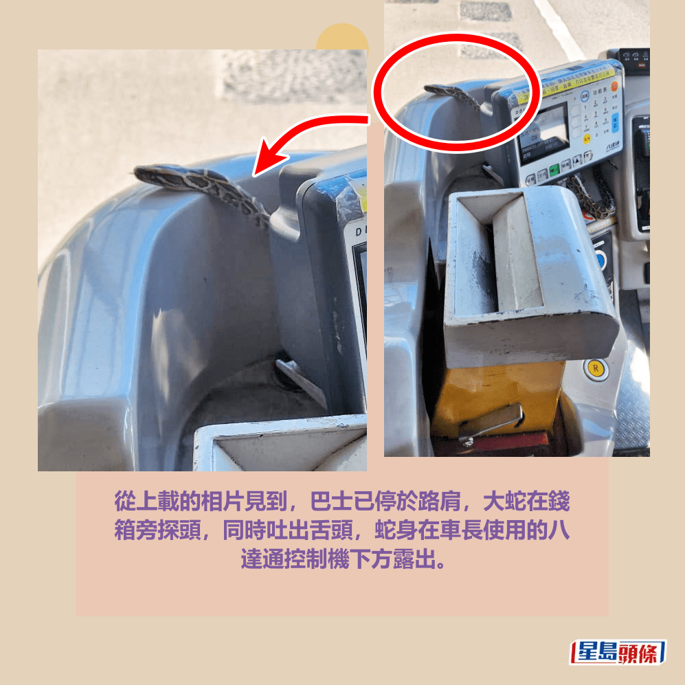 從上載的相片見到，巴士已停於路肩，大蛇在錢 箱旁探頭，同時吐出舌頭，蛇身在車長使用的八 達通控制機下方露出。Threads截圖