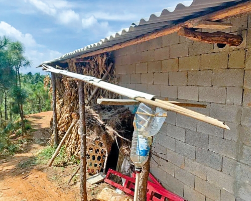 村民收集房顶的雨水来饮用。