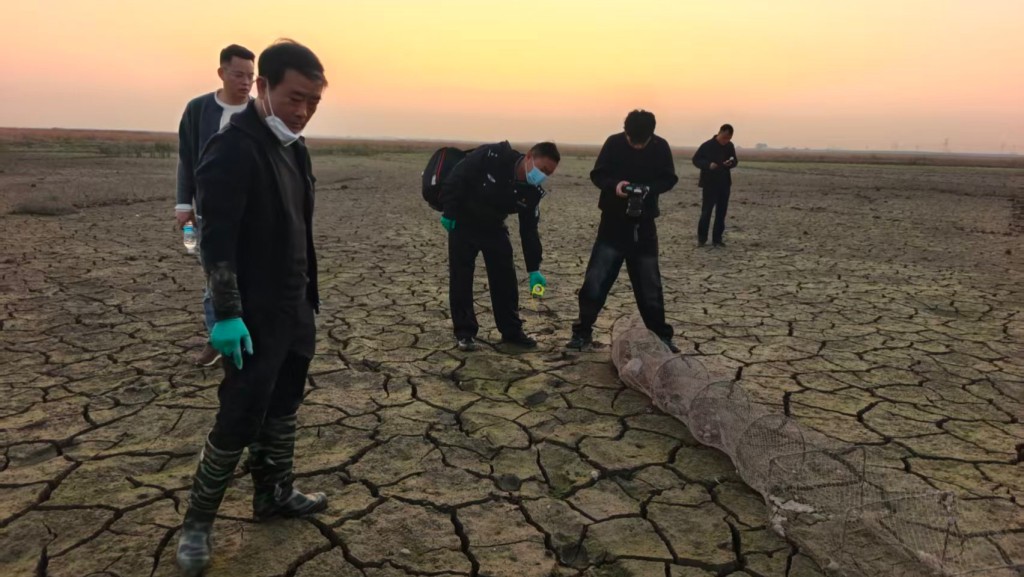 江西鄱陽湖流域某濕地,有人投毒殺害候鳥,警方已刑拘3名疑犯。澎湃新聞 江西鄱陽湖流域某濕地,有人投毒殺害候鳥,警方已刑拘3名疑犯。澎湃新聞