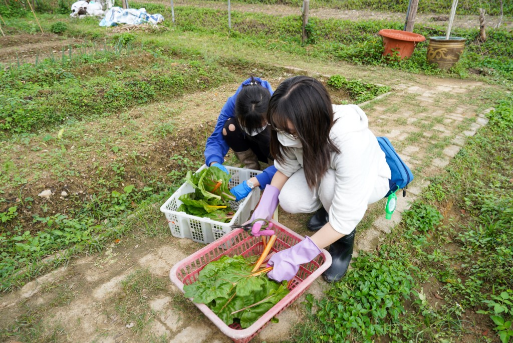 学生透过担任不同岗位体验有机种植，加深对有机耕种行业的认识。