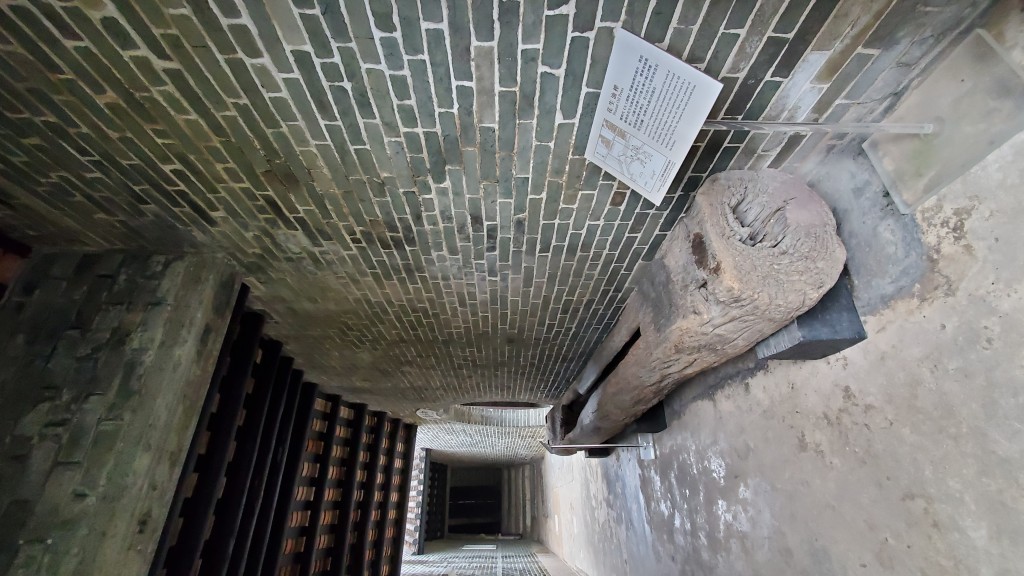 此大樹桿是昔日用作搾煉花生油用的。