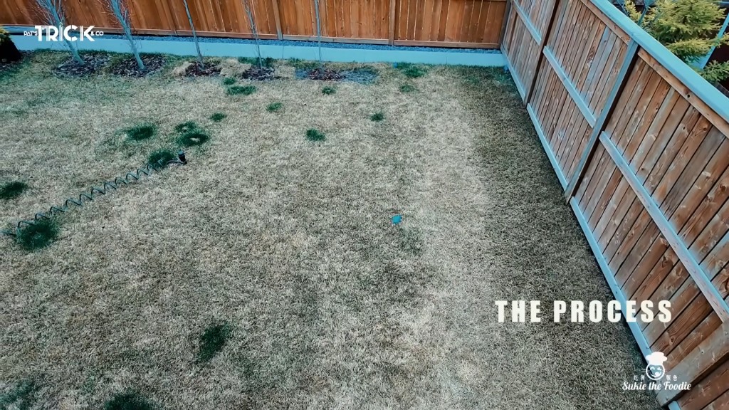 鄧健泓後花園起小屋。
