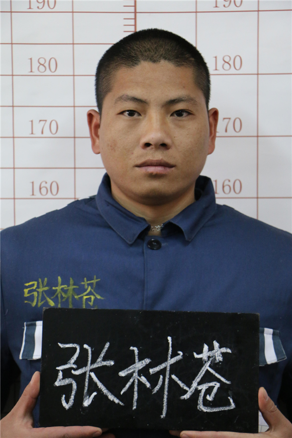 現年27歲的張林蒼。