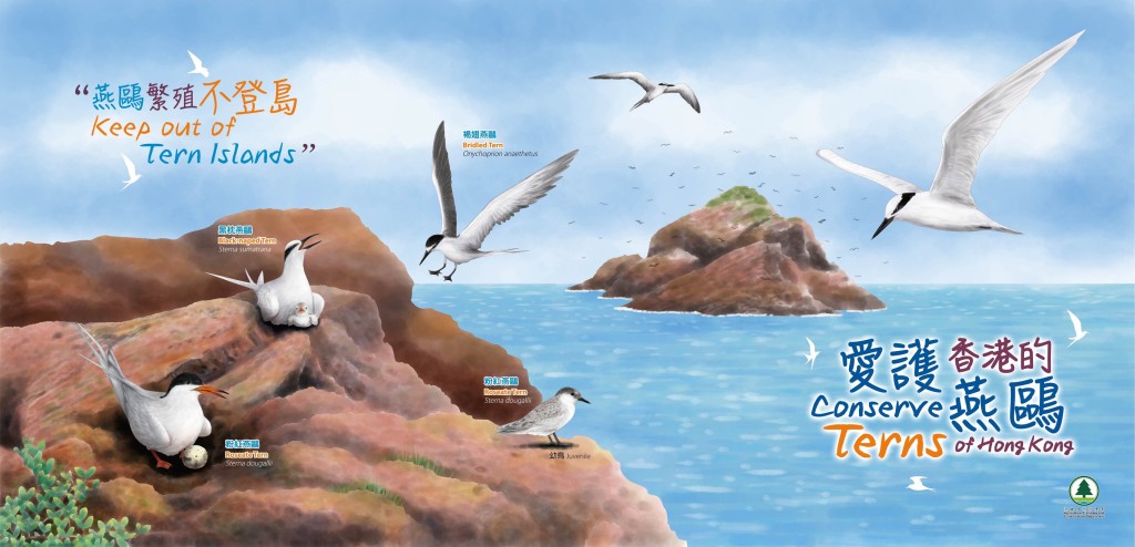 漁護署呼籲市民不要登上燕鷗繁殖的小島騷擾。漁護署FB