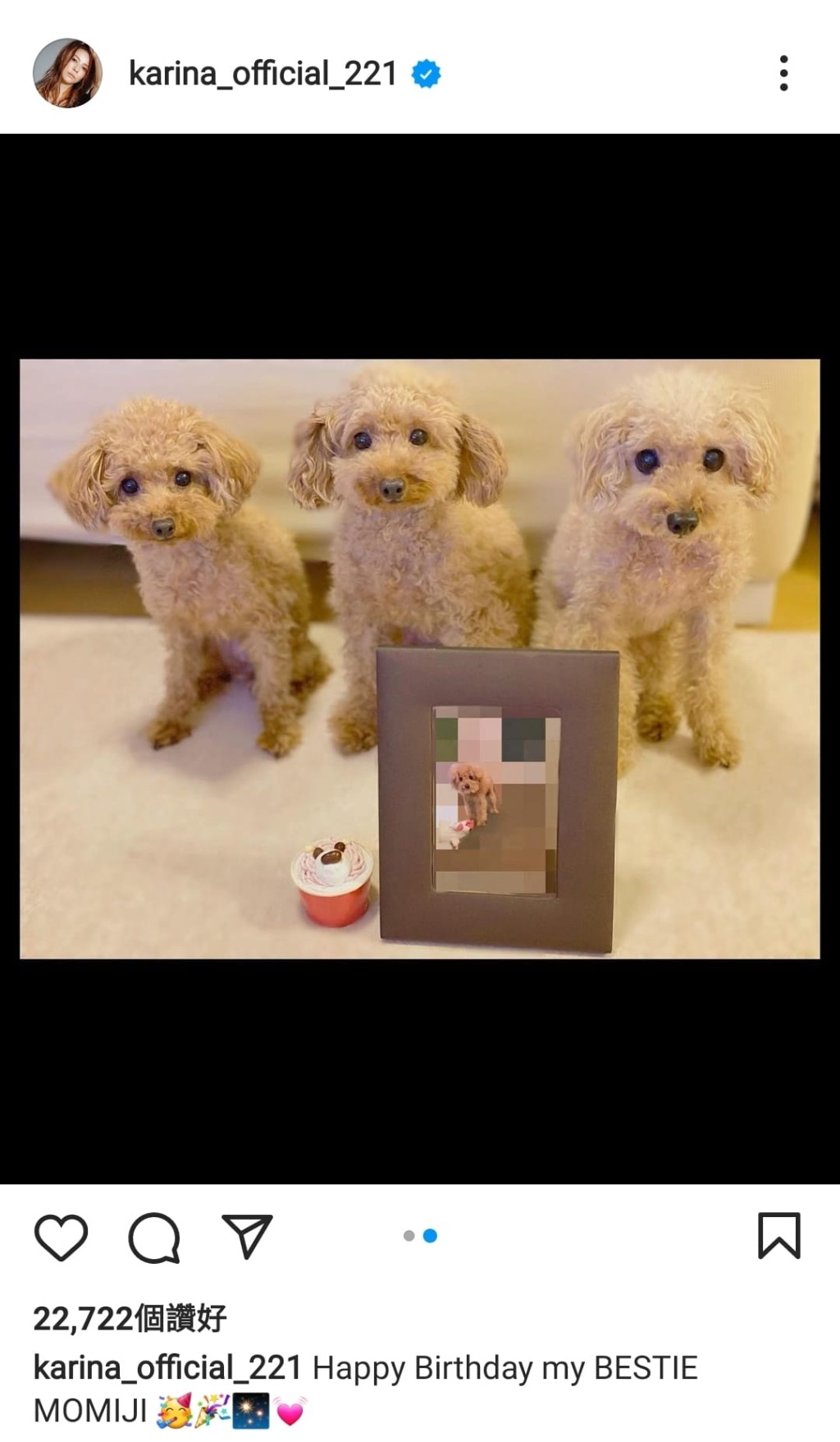 上月28日香里奈為愛犬慶祝生日後，未有再更新社交網。
