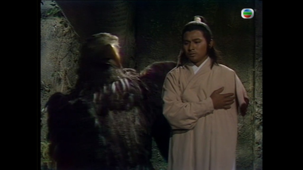 劇中的劉德華身邊有一隻陪他出生入死的「鵰兄」。
