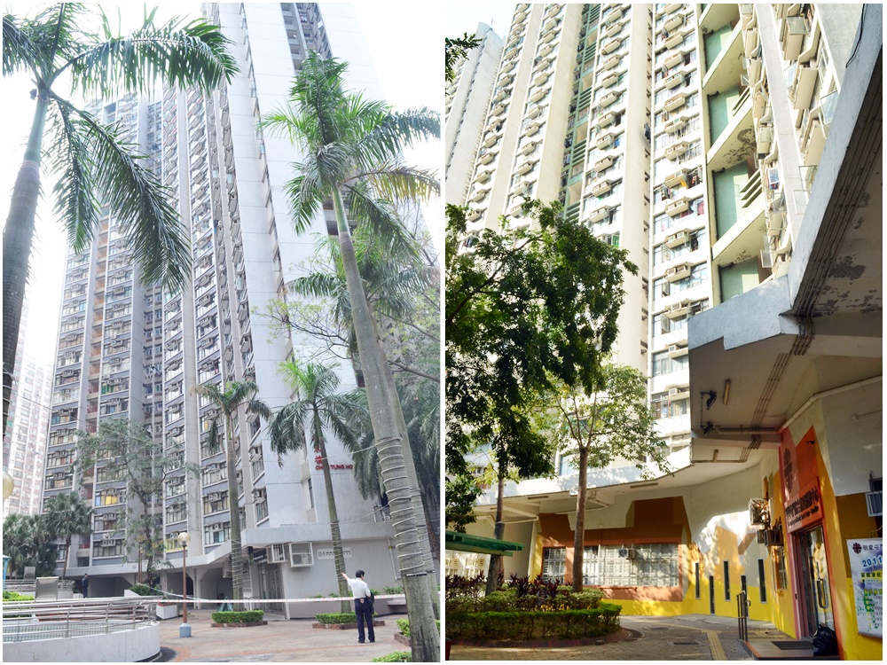 東頭二邨振東樓（左）；良景邨良俊樓。資料圖片