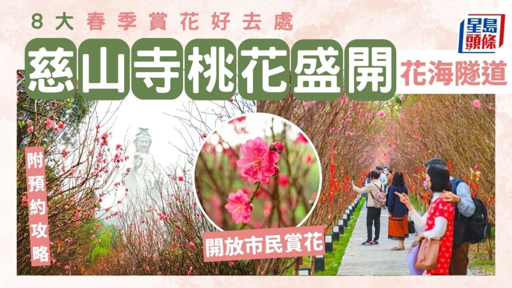 香港賞花2023|大埔慈山寺500棵桃花盛開!附預約方法/交通 8大春季賞花好去處