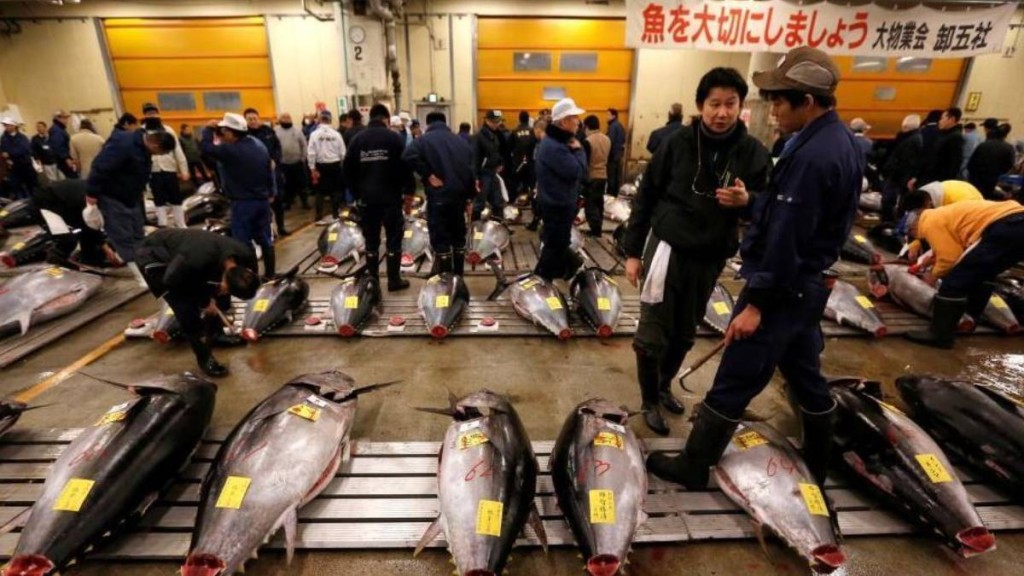 中國即時有條件恢復日本部份地區的水產品。中新網