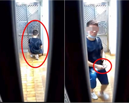 麗晶花園有一名賊人試圖撬開鐵閘,過程被閉路電視拍下。影片截圖