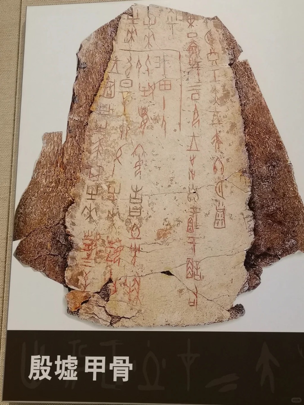 甲骨文是古漢字起源。小紅書 甲骨文是古漢字起源。小紅書