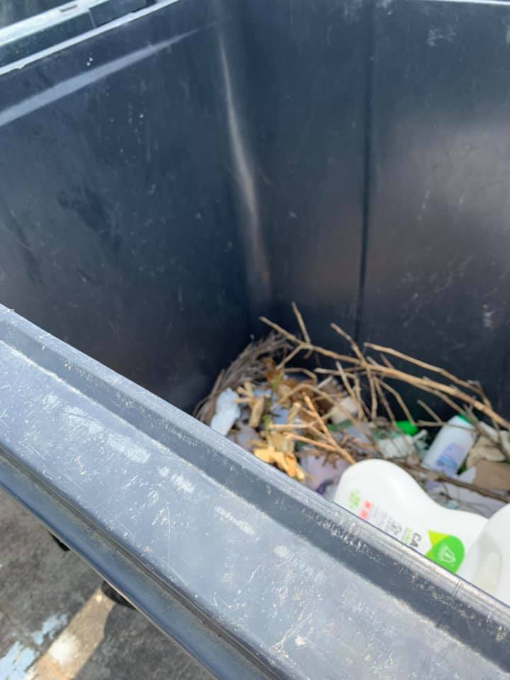 網民Victor Wong圖片