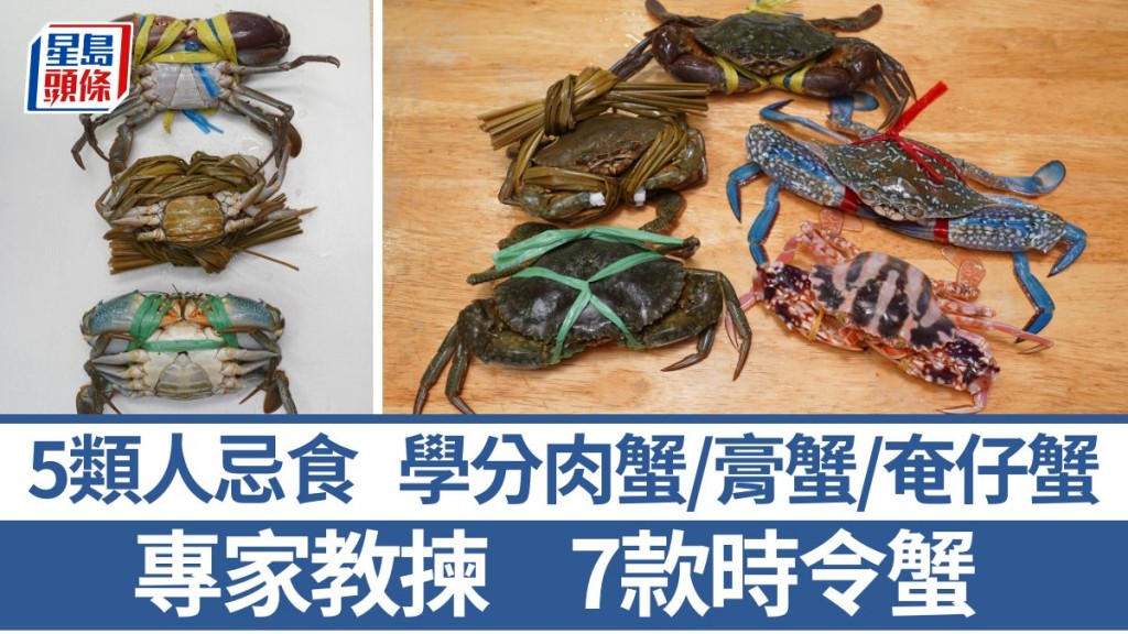 揀蟹秘訣｜教分肉蟹/膏蟹/奄仔蟹 5類人忌食蟹 花蟹/青蟹/長腳蟹/松葉蟹｜食材知識
