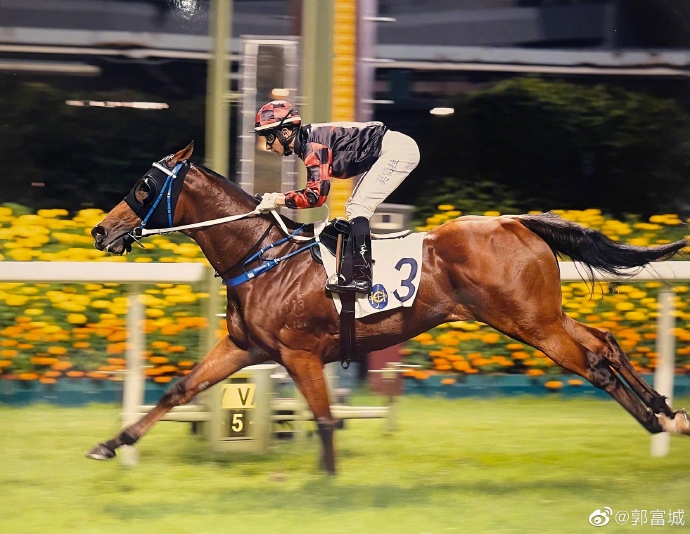 舞士精神克服傷患一年，兩周前再度勝出頭馬，以56秒09打破全港1000米紀錄。