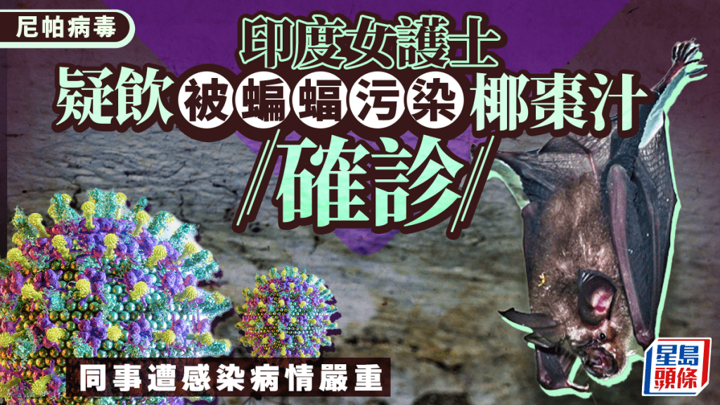 尼帕病毒︱印度护士疑参加婚礼饮椰枣汁确诊  同事接触「人传人」感染