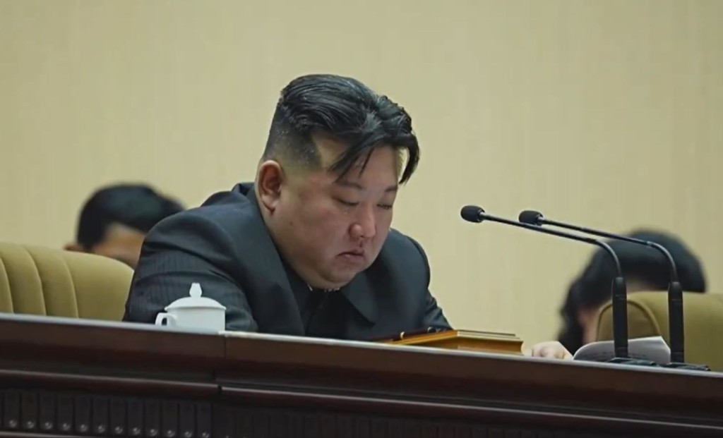 金正恩在提到北韓生育率下跌，呼籲婦女多生育時痛哭流淚。影片截圖