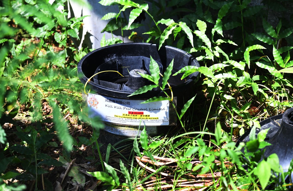 青衣曉峰園一些草叢已加裝滅蚊陷阱。資料圖片 青衣曉峰園一些草叢已加裝滅蚊陷阱。資料圖片